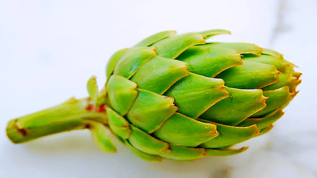 Artichoke extract