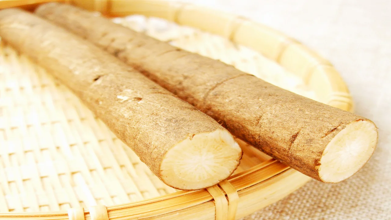 Burdock Root extract