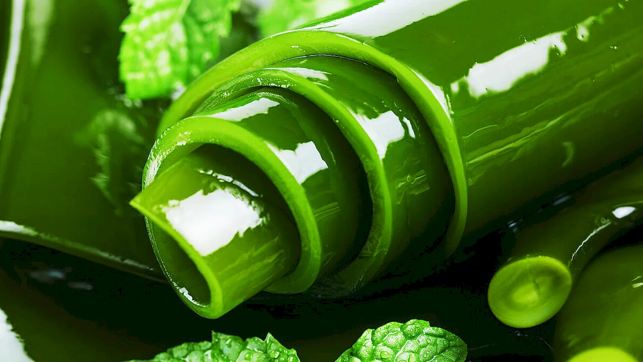 Kelp extract