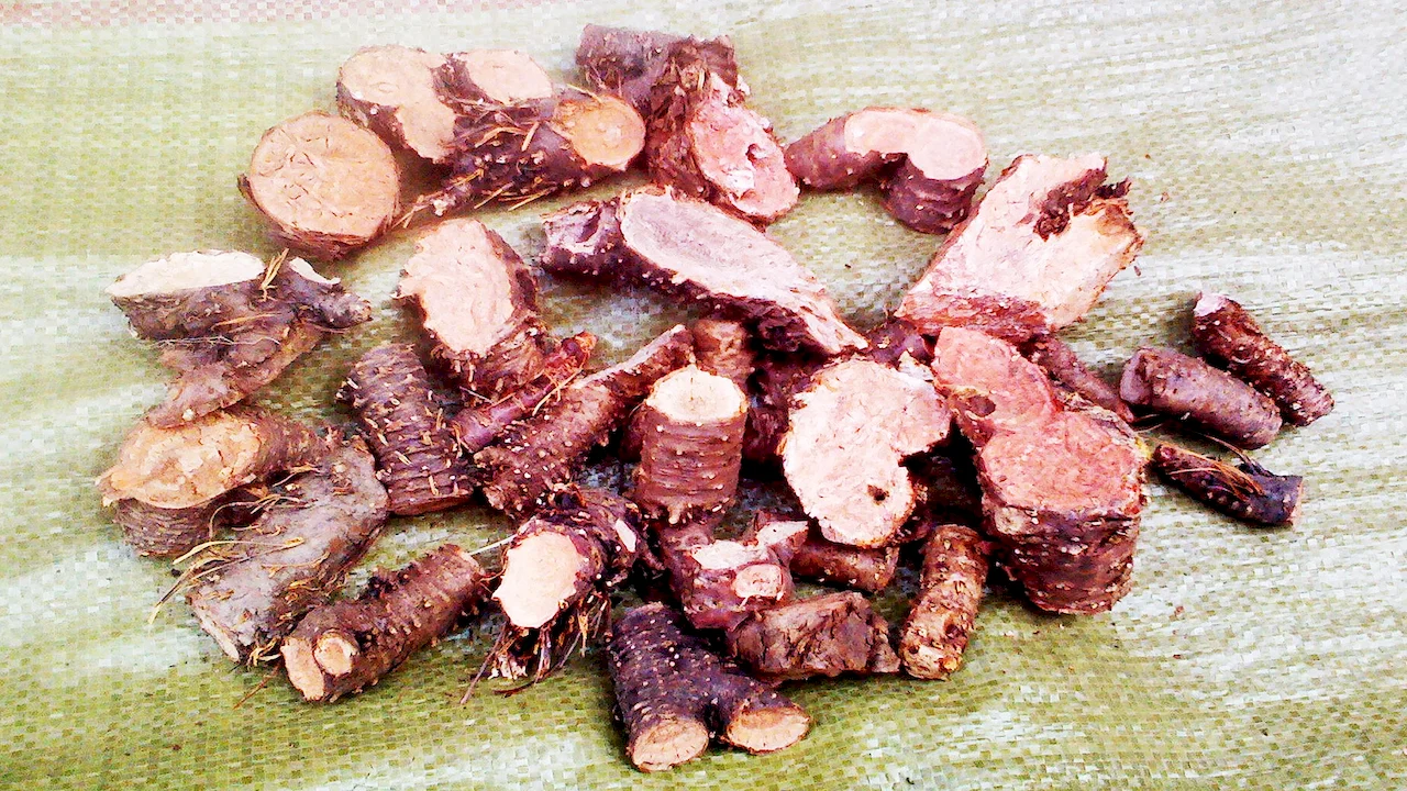 Rhodiola extract