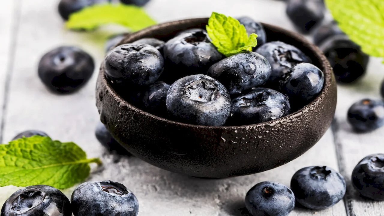 Acai Berry Extract