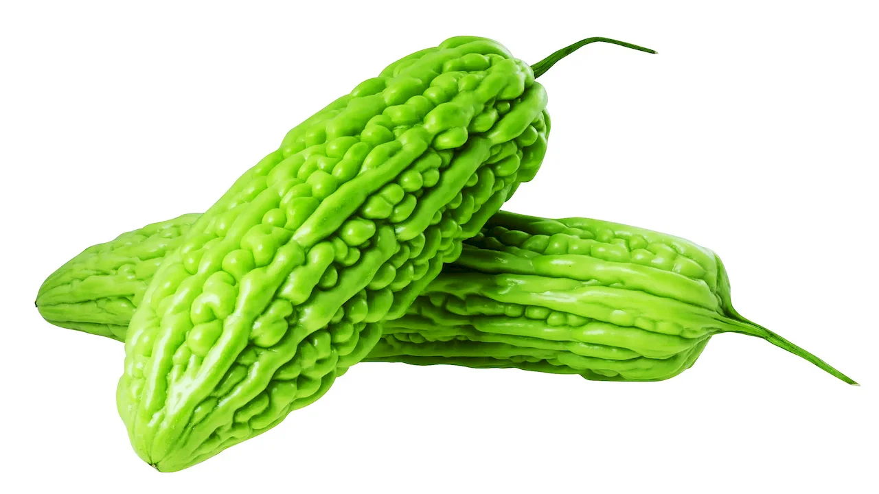 Bitter Melon Extract