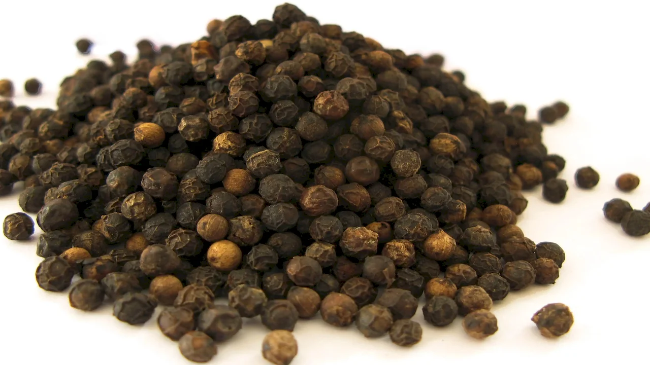 Black Pepper Extract