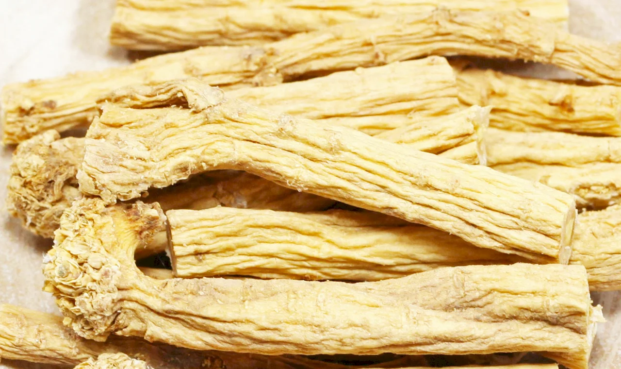 Codonopsis Extract
