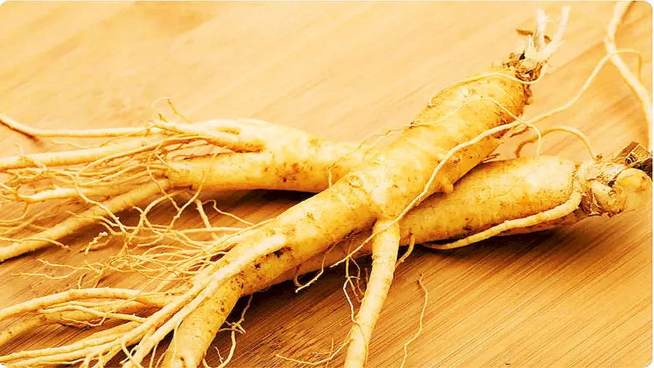Ginseng Extract