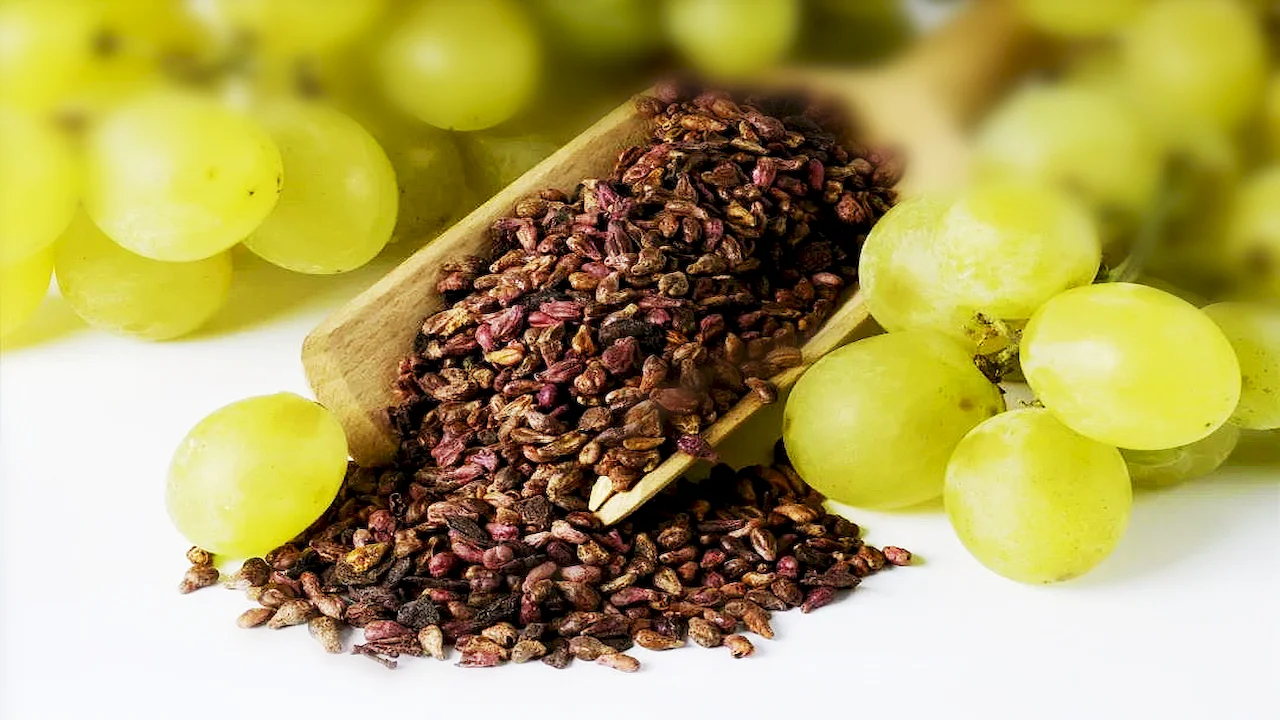 grape seed extract