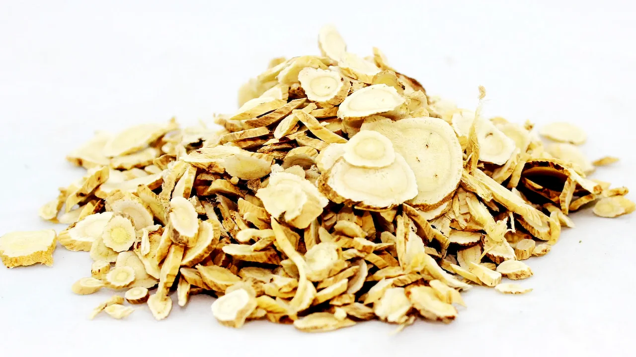 Astragalus Extract