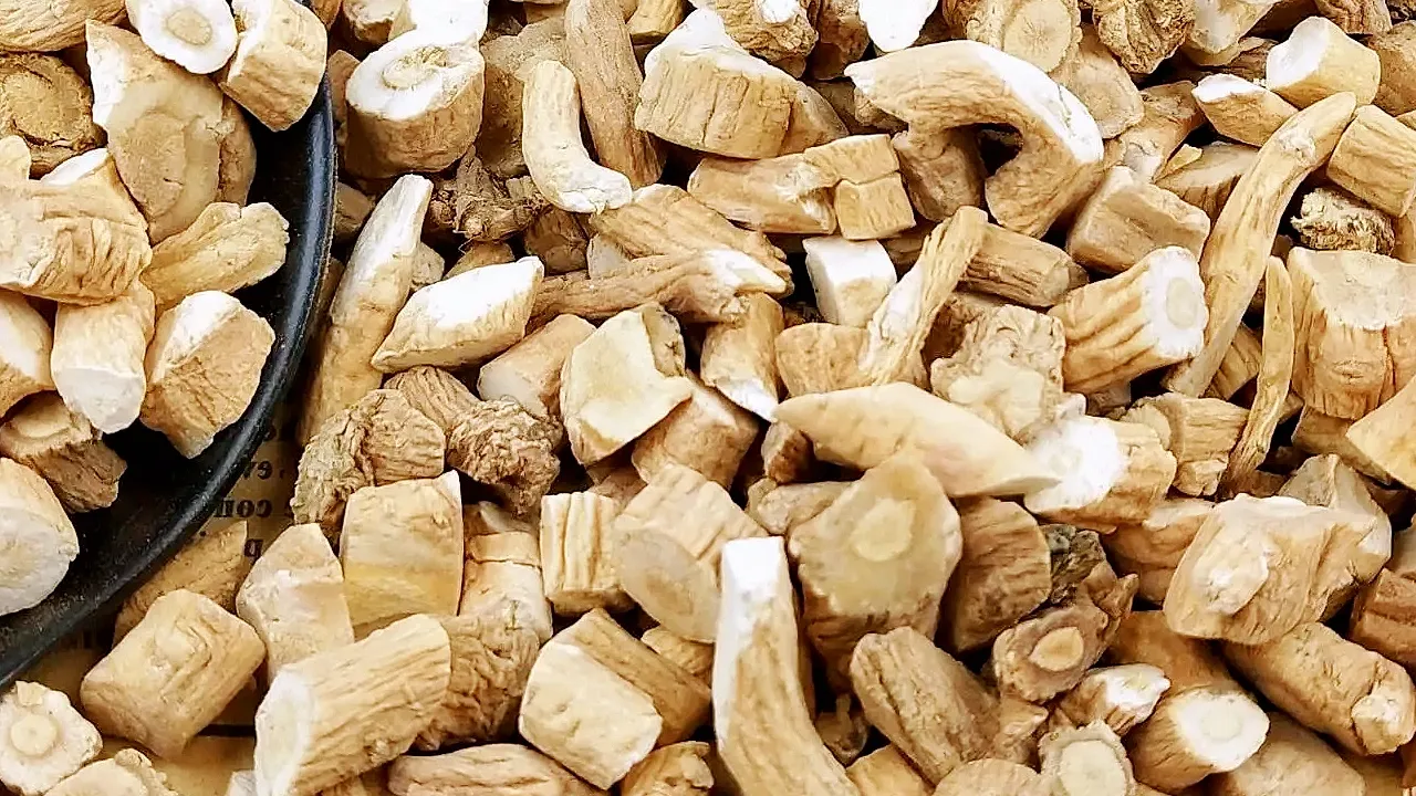 isatis root extract