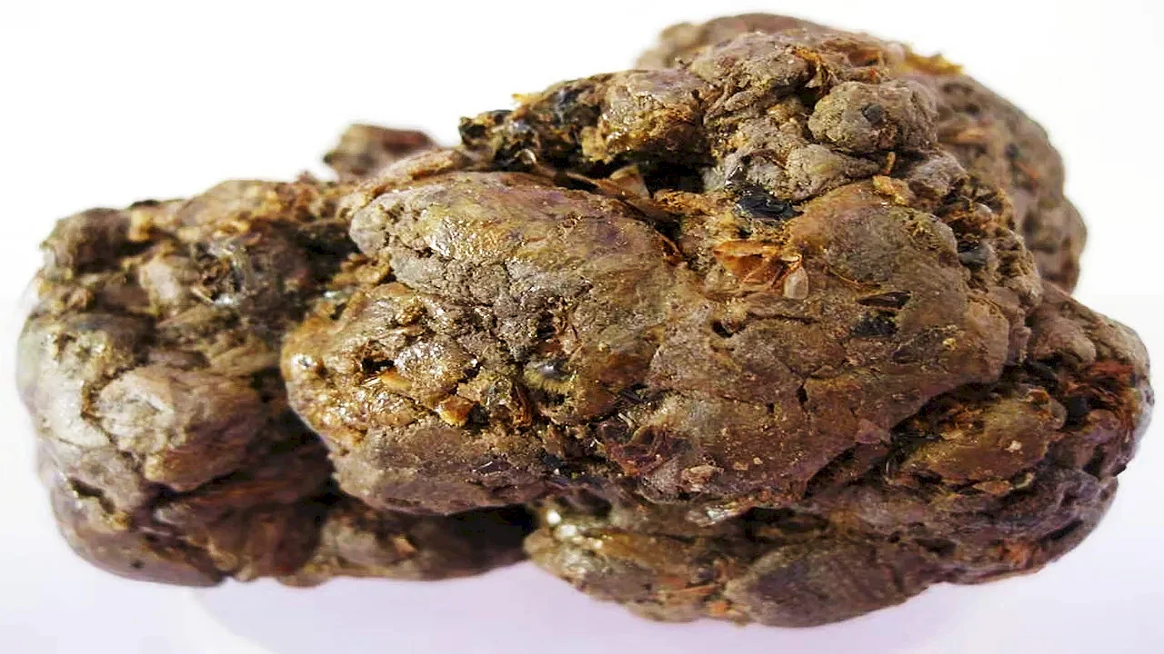 Propolis Resin