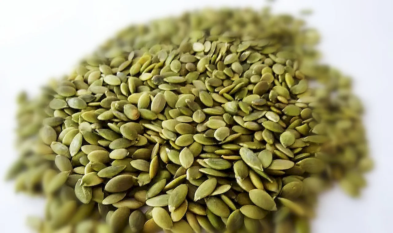 pumpkin seeds