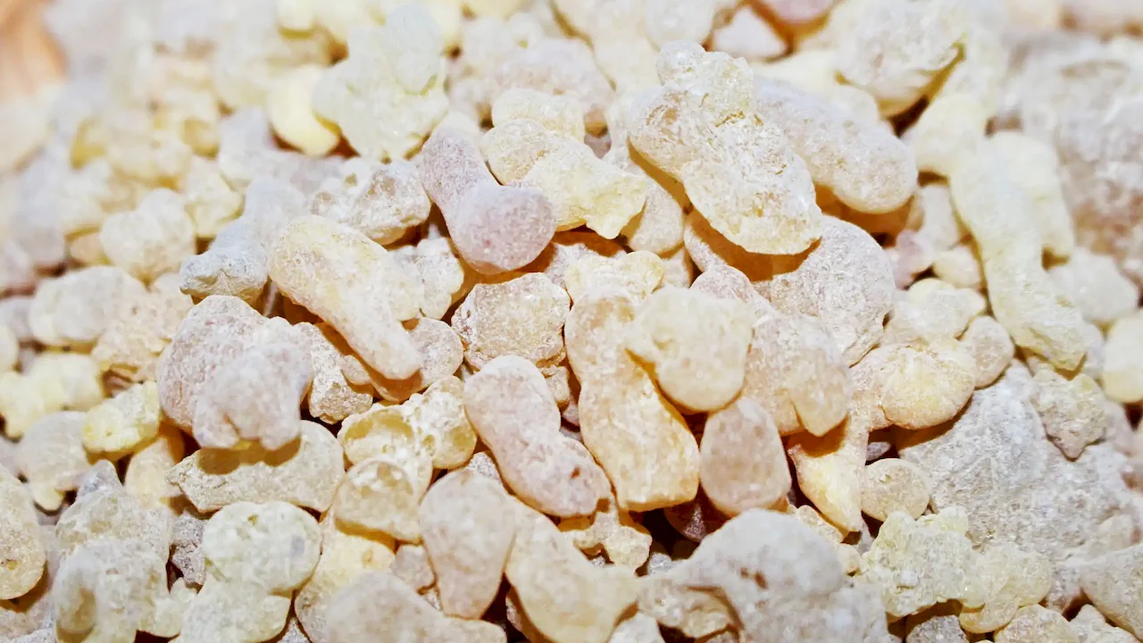 Boswellia Serrate Extract