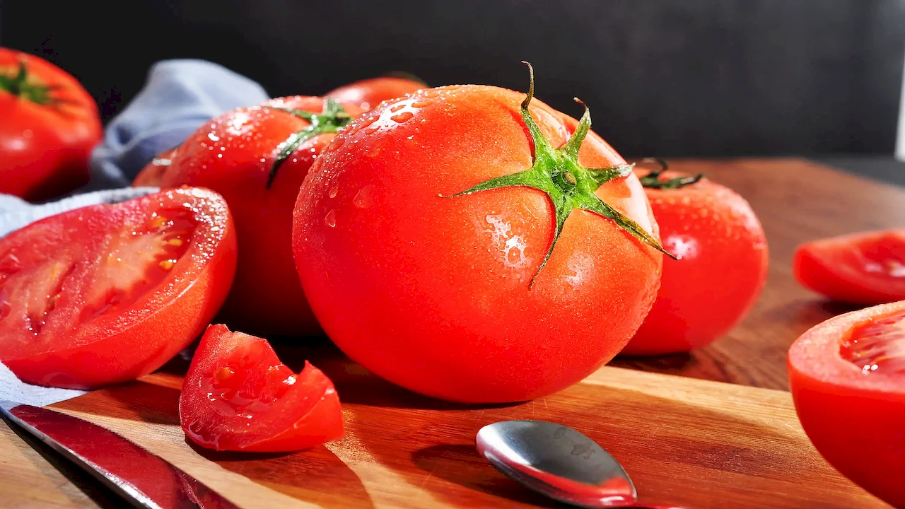 Tomato Paste