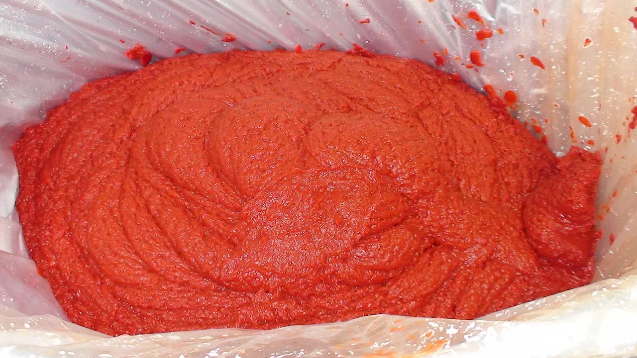 tomato paste & concentrate