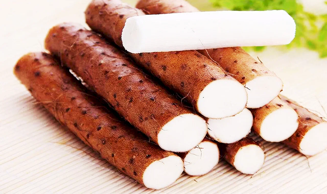 Wild Yam Extract